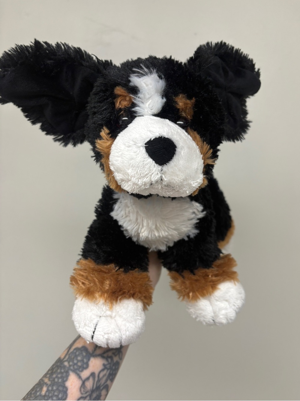 GUND Randall 6048551 Bernese Mountain Dog